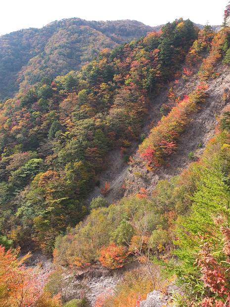 高野山の紅葉はじまる　③_c0046587_22544594.jpg