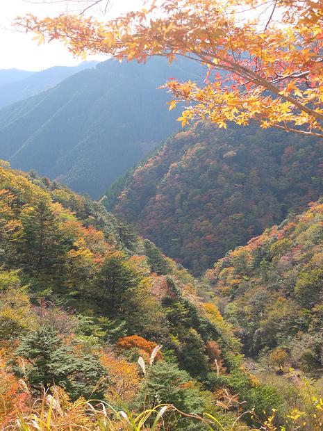 高野山の紅葉はじまる　③_c0046587_22551294.jpg