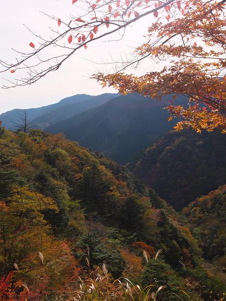 高野山の紅葉はじまる　③_c0046587_2255394.jpg