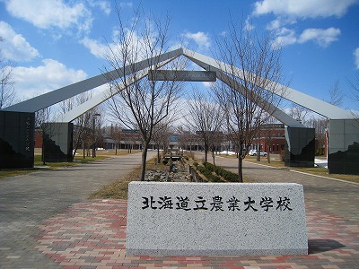 b0191190_19452551.jpg