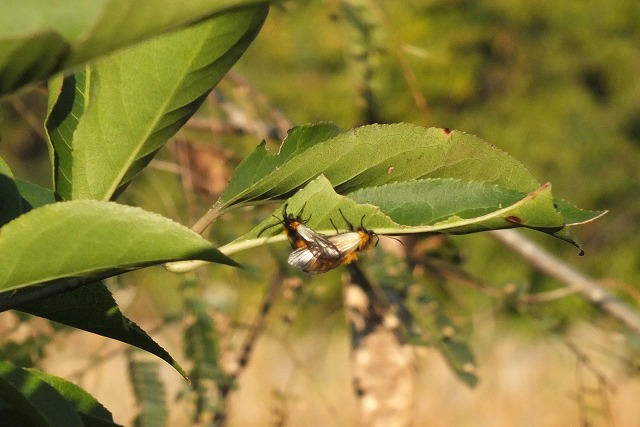 e0070891_2029461.jpg