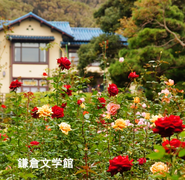b0145398_2141412.jpg