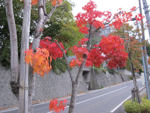 晩秋の会津・東山温泉の朝（９）・・・この項終了_c0075701_9444112.jpg