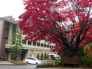d0023103_22483997.jpg