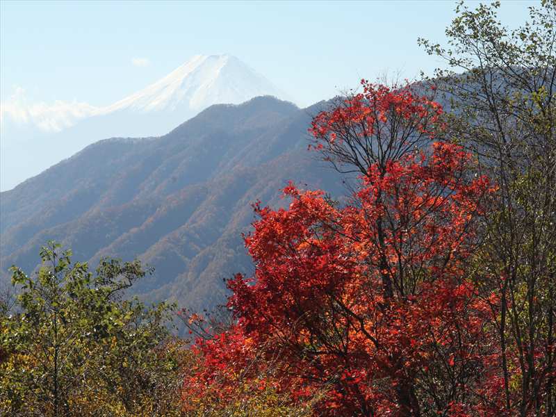 大峠の紅葉_a0188405_200117.jpg