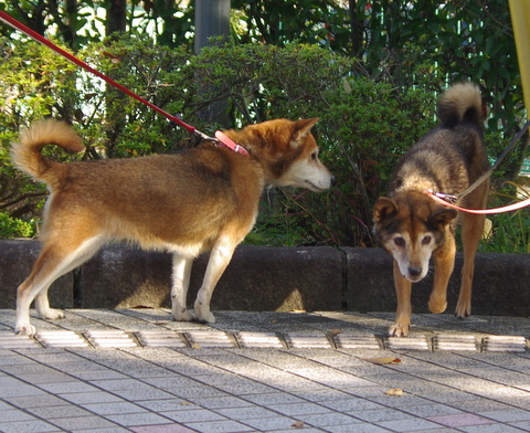 a0285205_17262199.jpg