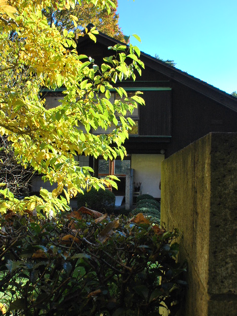 江戸東京たてもの園、前川國男自邸(昭和モダン邸宅探訪)_f0142606_1824040.jpg