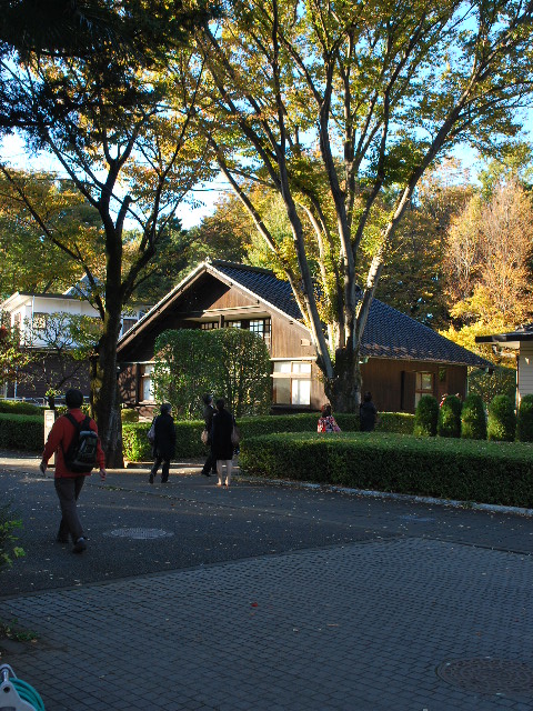 江戸東京たてもの園、前川國男自邸(昭和モダン邸宅探訪)_f0142606_18423446.jpg