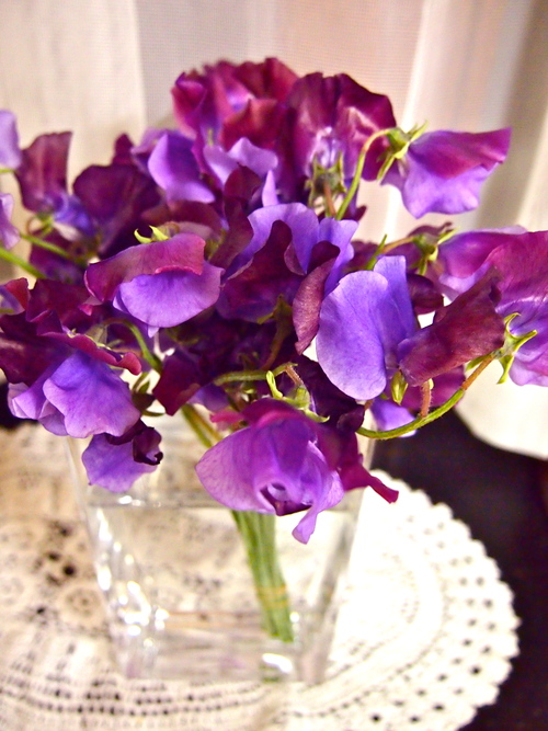 a0230008_23434229.jpg