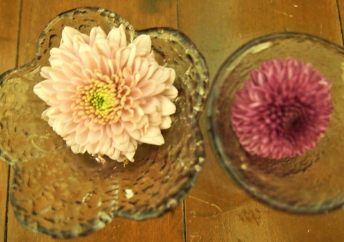 a0230008_2352932.jpg