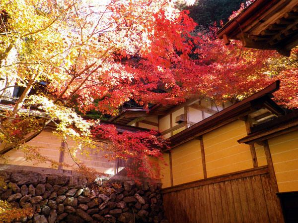 谷汲山華厳寺&両界山横蔵寺_b0000209_2110566.jpg