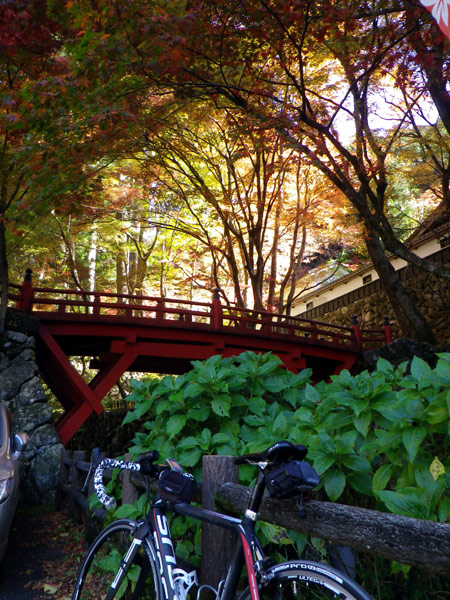 谷汲山華厳寺&両界山横蔵寺_b0000209_21452332.jpg