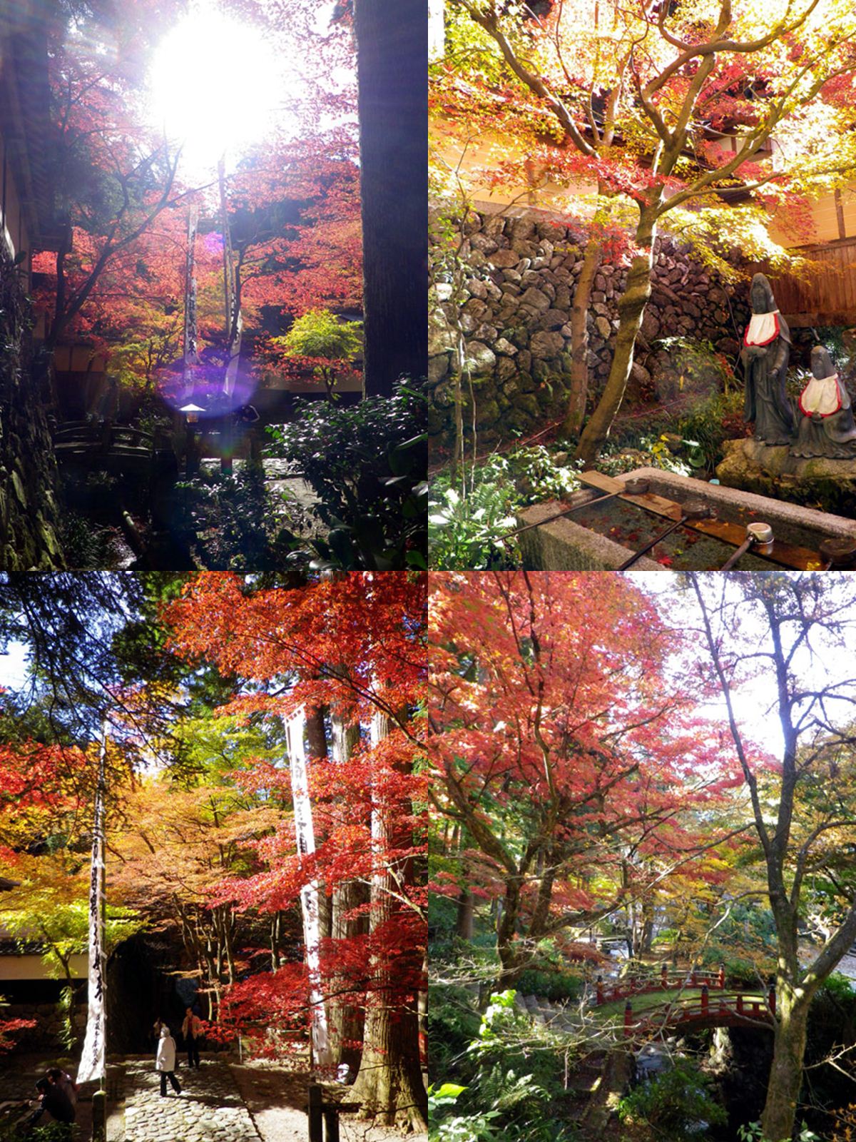 谷汲山華厳寺&両界山横蔵寺_b0000209_2150777.jpg