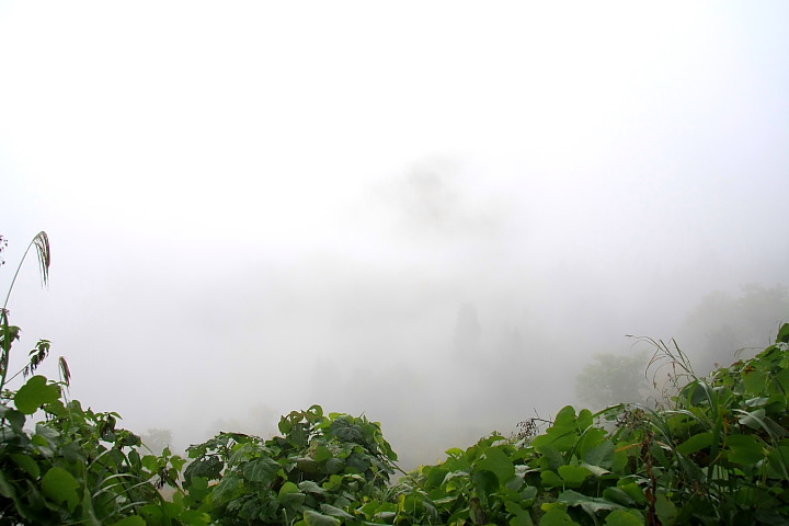 錦秋 - 2012年秋・飯山線 - _b0190710_22443629.jpg