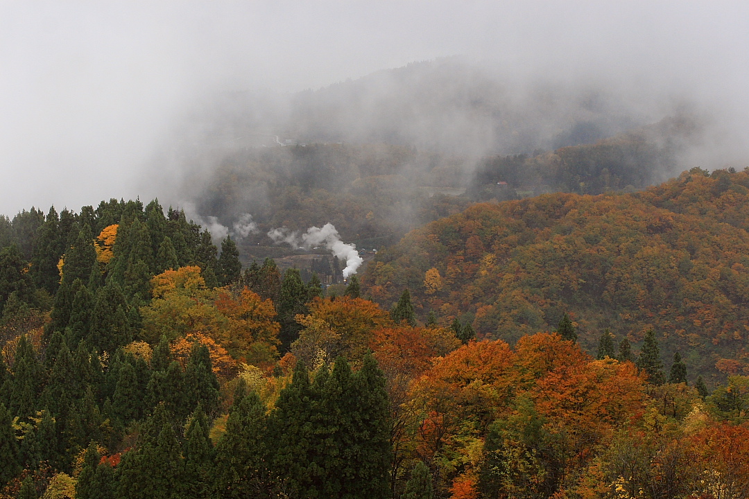 錦秋 - 2012年秋・飯山線 - _b0190710_22452725.jpg