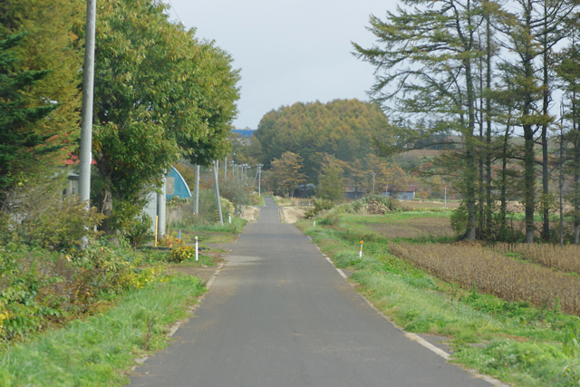 a0146011_2445375.jpg