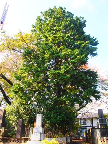 b0137412_22301471.jpg