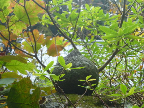 e0233614_15233544.jpg