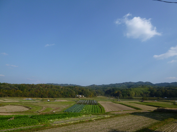 e0233614_15552558.jpg