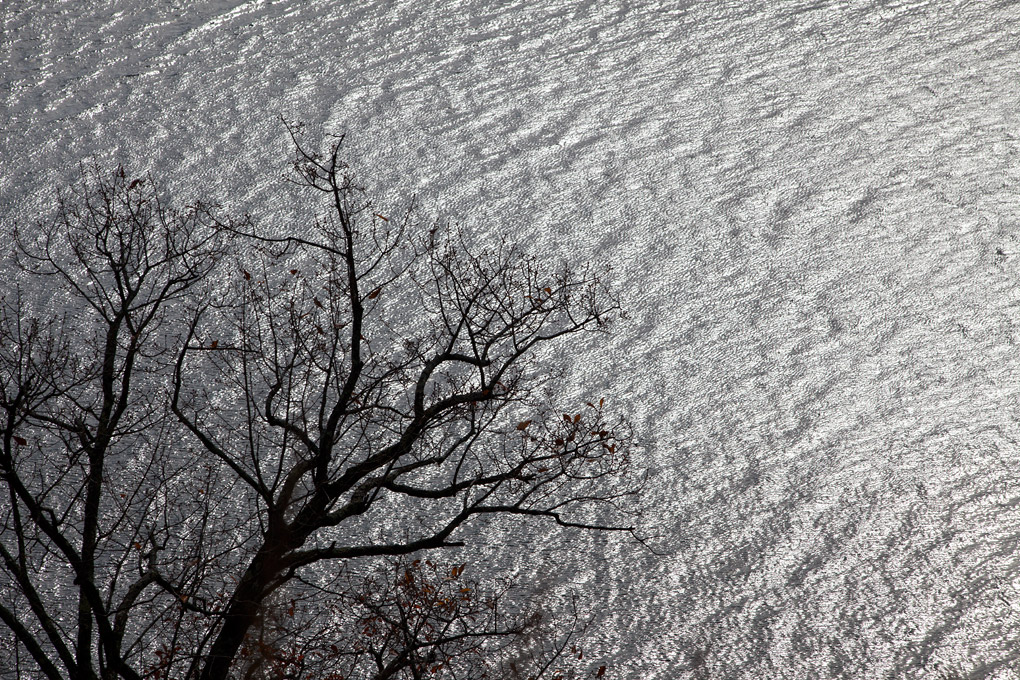 屈斜路湖一周散歩　山は雪_b0189415_1520374.jpg