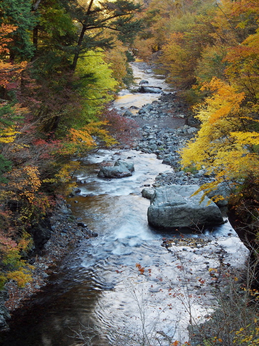 d0192516_11391569.jpg