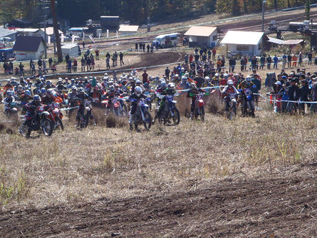 c0223419_1739829.jpg