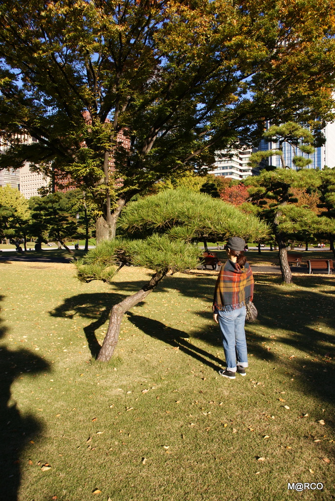 a0240721_236556.jpg