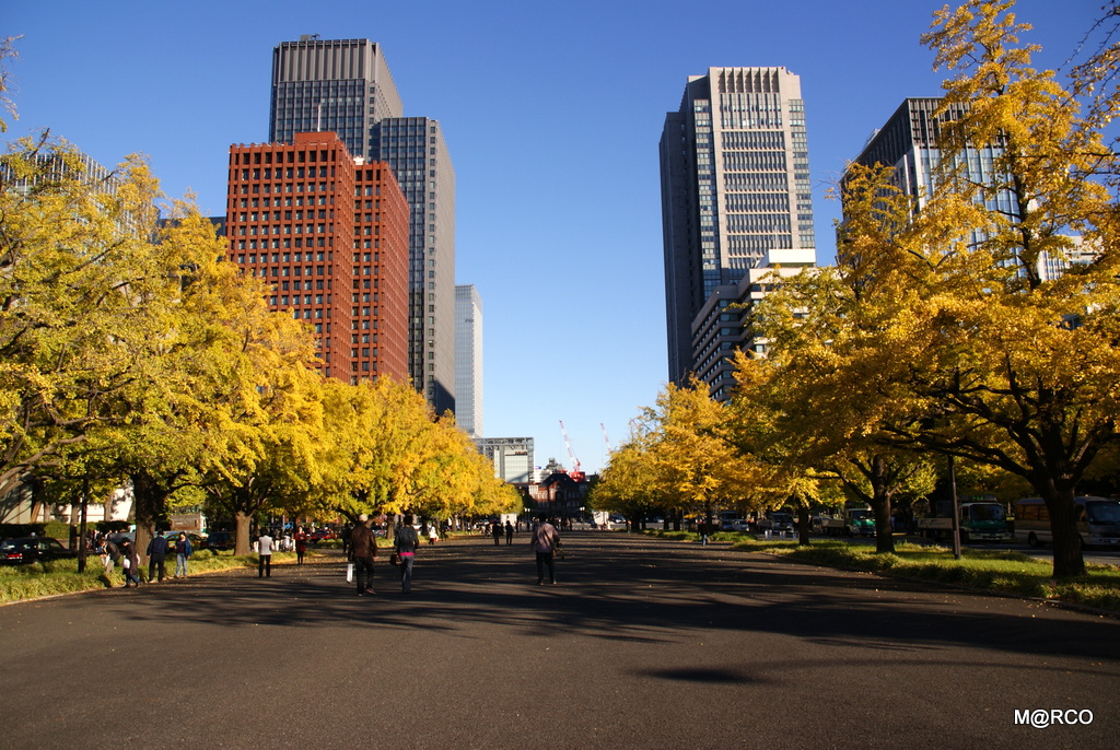 a0240721_2383780.jpg