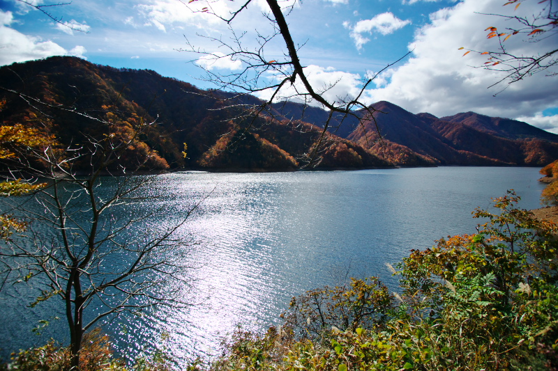 d0237223_17391022.jpg