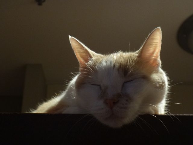 a0042932_23115477.jpg