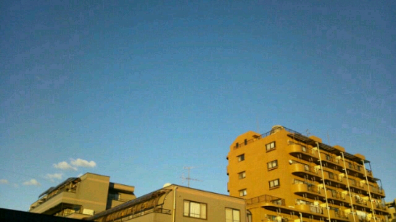 a0122932_17231321.jpg