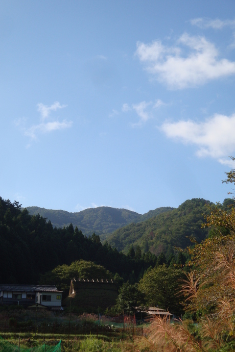 b0207632_1253650.jpg