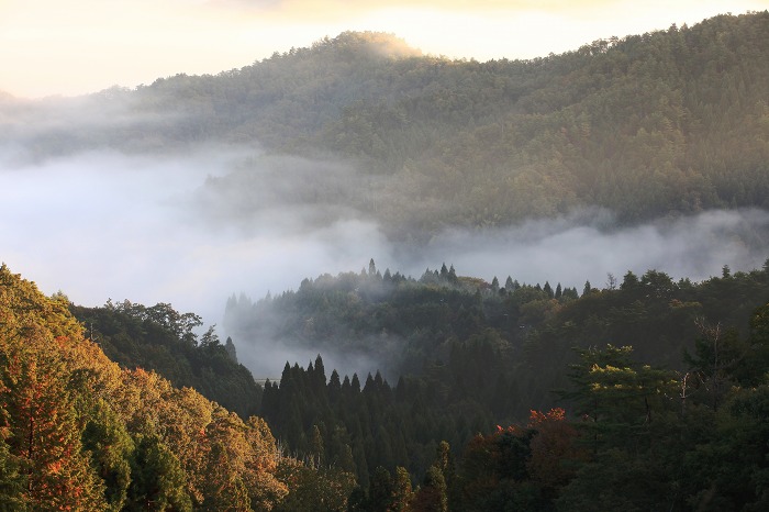 郷路岳_a0294534_2135713.jpg
