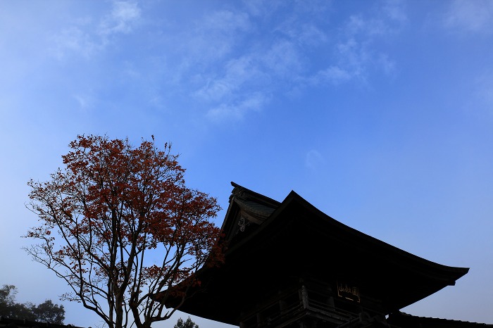 郷路岳_a0294534_2140466.jpg