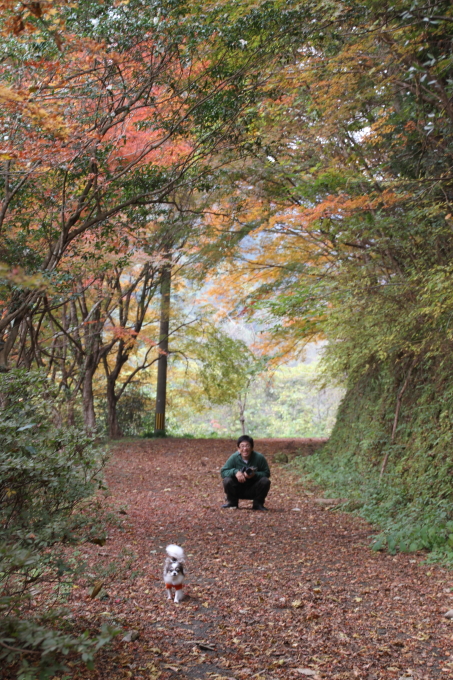 毎年恒例、かかしツアー！ですが・・・　－紅葉満喫編－_d0140234_19361031.jpg