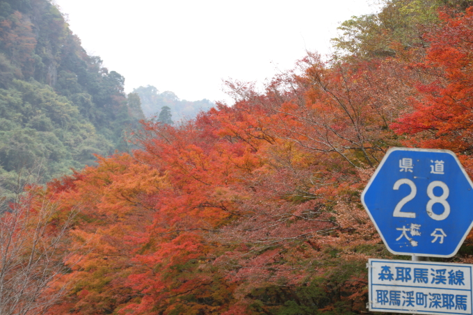 毎年恒例、かかしツアー！ですが・・・　－紅葉満喫編－_d0140234_19391585.jpg