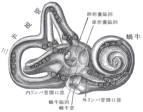 b0195635_16454536.png