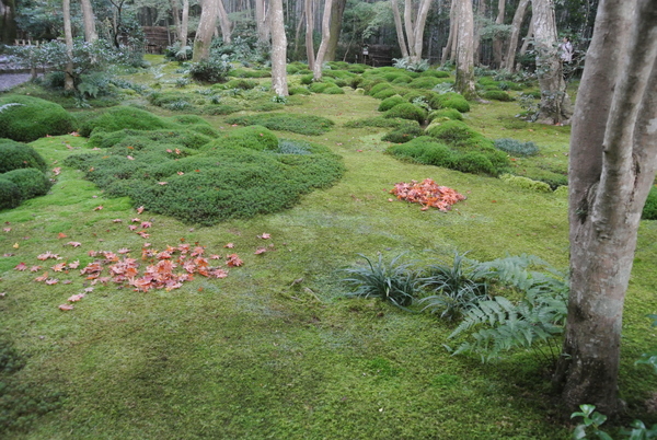 嵯峨野の紅葉_d0170835_221091.jpg