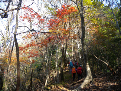 初冬の犬ヶ岳を歩く_e0272335_6433565.jpg