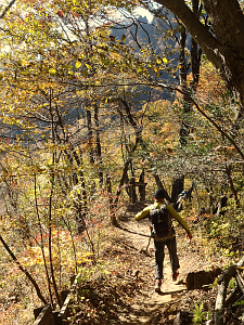 2012年11月10日（土）：妙義山（中間道）_b0032437_2024725.jpg