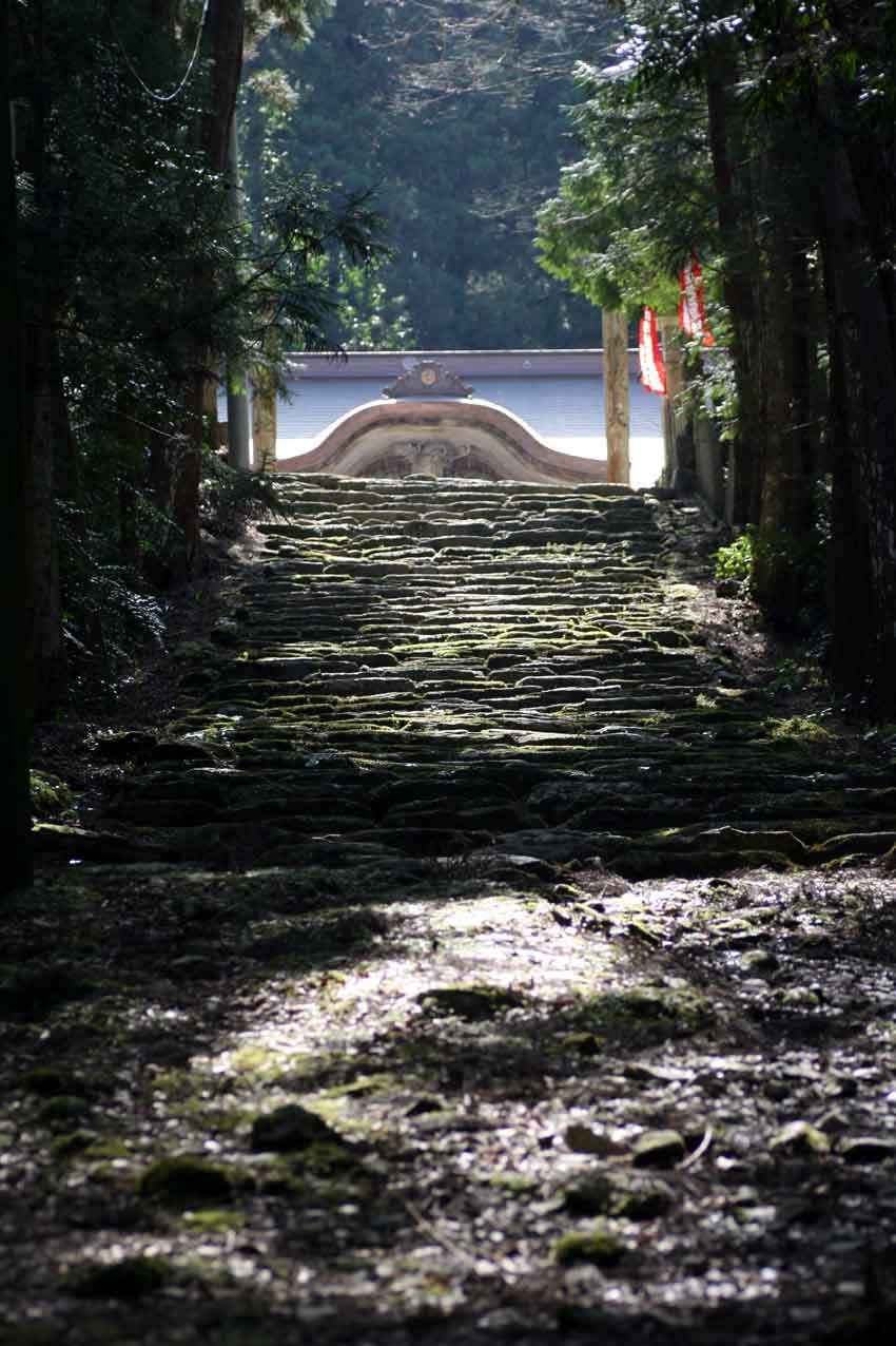 「忌部」に関するイベントを紹介します♪ すえドンのフォト日記