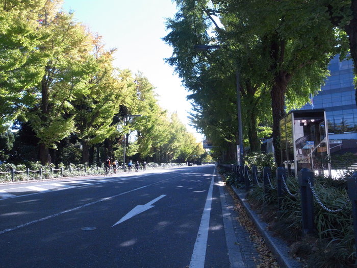 f0055142_1105850.jpg