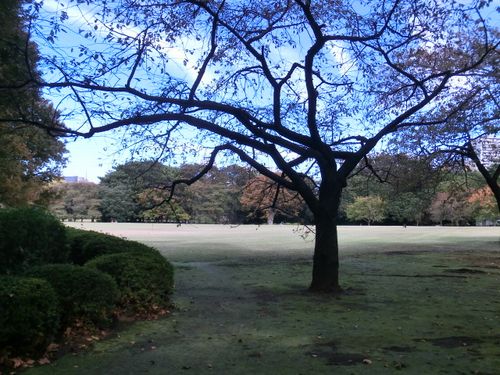 e0082045_11262431.jpg