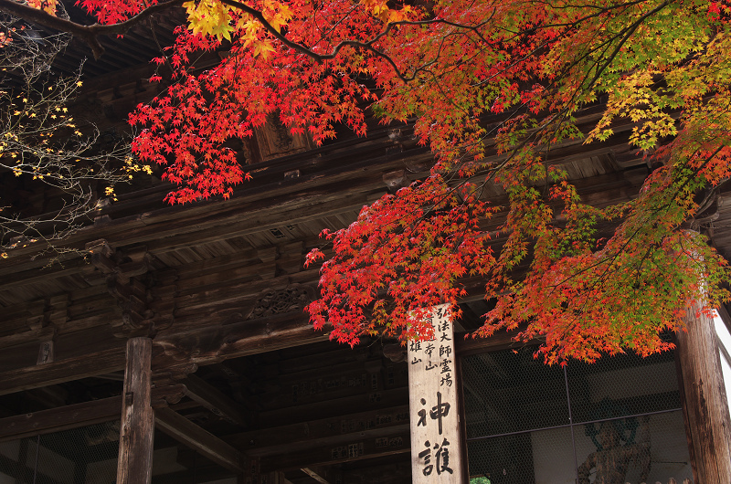 Opening！2012年京都の紅葉（神護寺・門前編）_f0155048_23224396.jpg