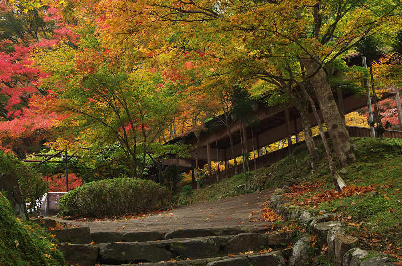 Opening！2012年京都の紅葉（神護寺・門前編）_f0155048_23241520.jpg