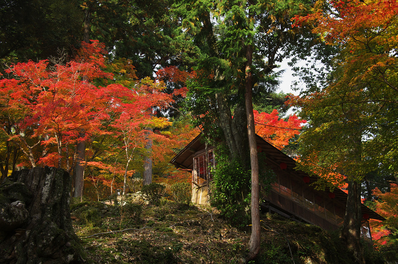 Opening！2012年京都の紅葉（神護寺・門前編）_f0155048_23243667.jpg