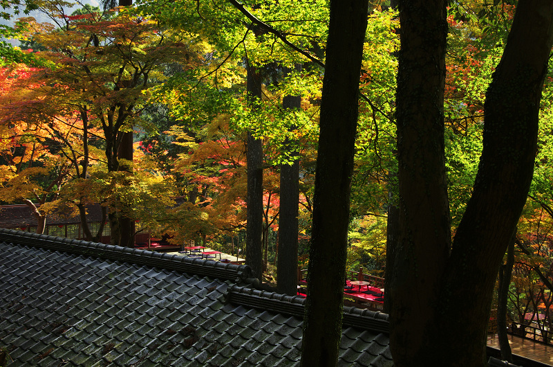 Opening！2012年京都の紅葉（神護寺・門前編）_f0155048_2325689.jpg