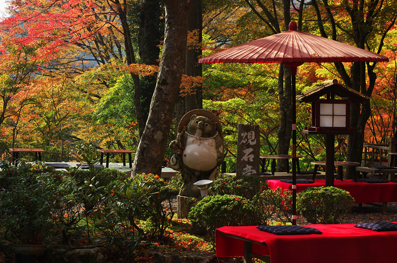 Opening！2012年京都の紅葉（神護寺・門前編）_f0155048_23261449.jpg