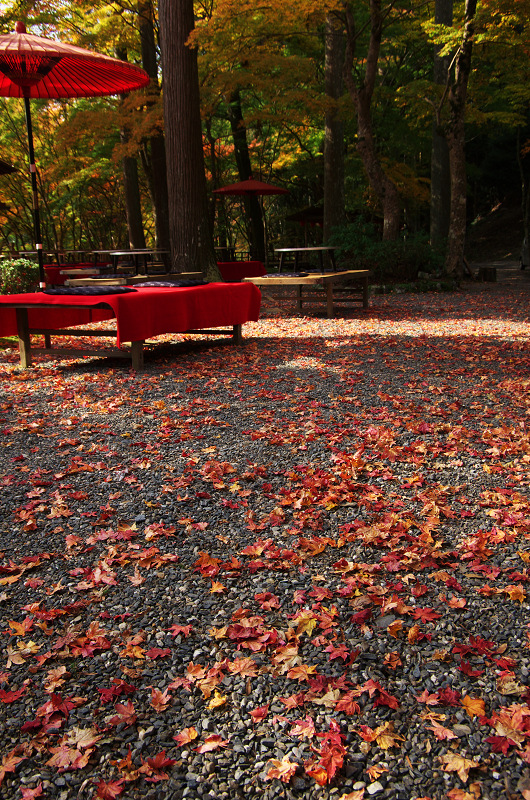 Opening！2012年京都の紅葉（神護寺・門前編）_f0155048_2326177.jpg