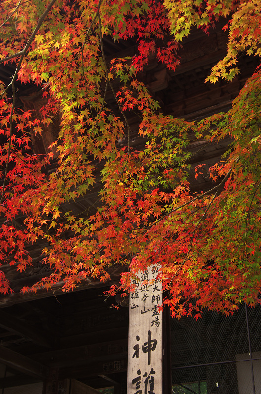 Opening！2012年京都の紅葉（神護寺・門前編）_f0155048_23265651.jpg